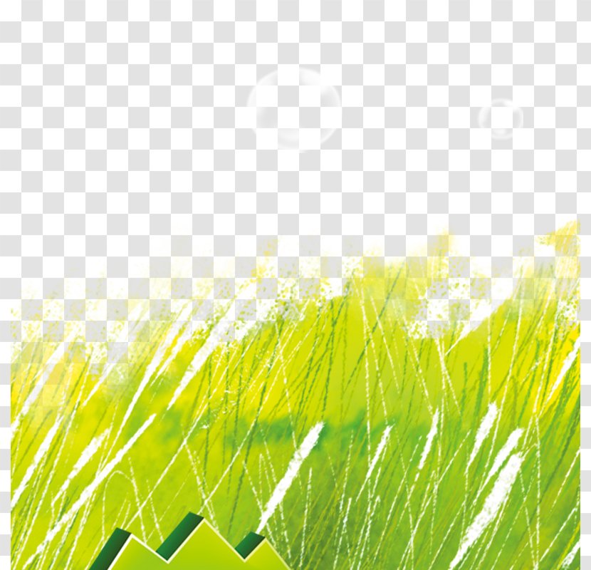 Green Icon - Artworks - Background Transparent PNG