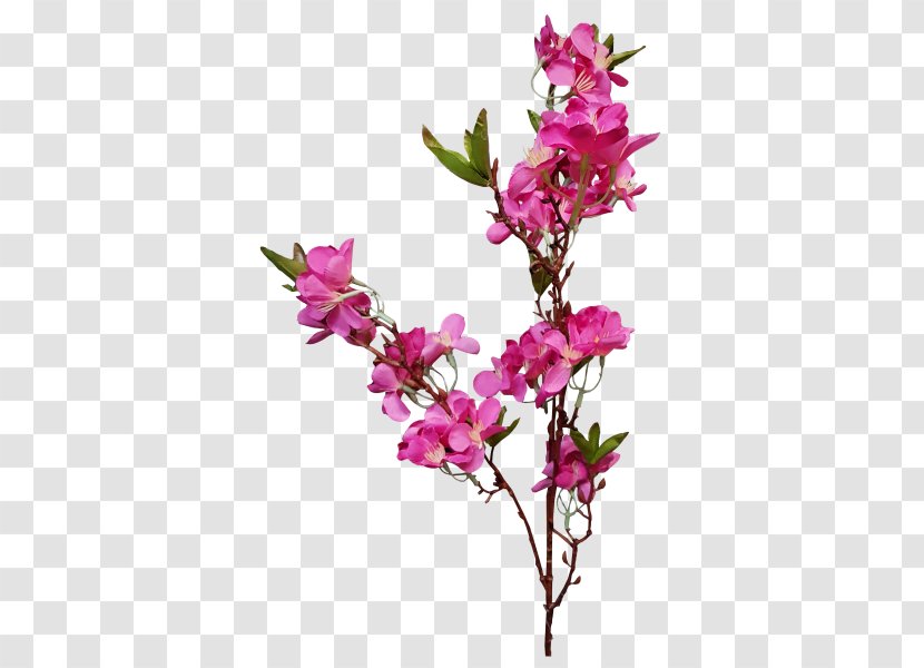Cut Flowers Floral Design Plant Artificial Flower - Rose - Peach Blossom Transparent PNG