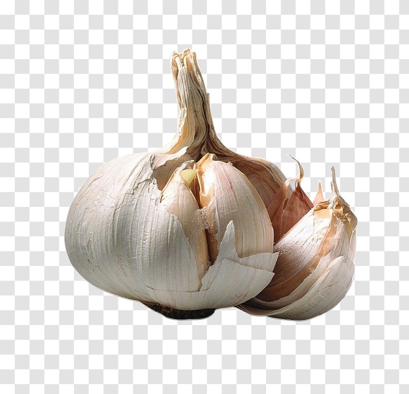 Garlic Desktop Wallpaper 1080p High-definition Video Food - Clove Transparent PNG