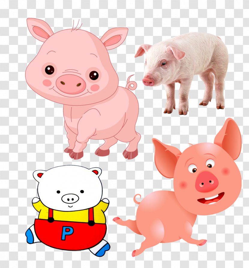 Domestic Pig Comics Drawing Clip Art - Pork - Theme Image Transparent PNG