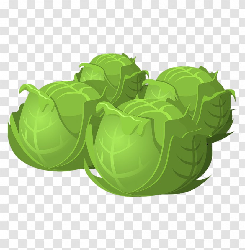 Cabbage Vegetable Clip Art - Cartoon - Must Be Added Daily Transparent PNG