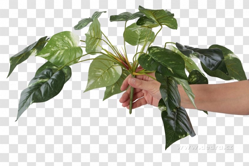 Leaf Flowerpot Tree Transparent PNG