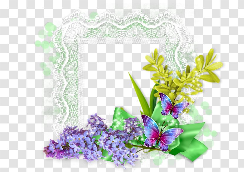 Floral Design Picture Frames Cut Flowers Lace - Plant - Flowering Transparent PNG