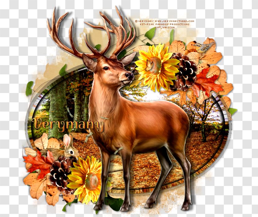 Reindeer Fauna Wildlife Flower Transparent PNG