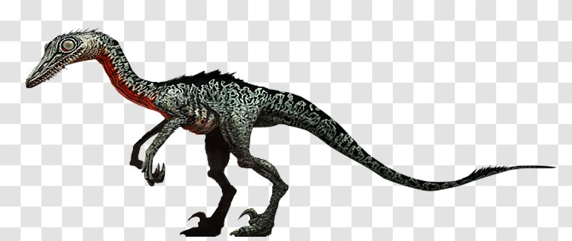 Jurassic Park: The Game Troodon World Evolution Velociraptor - Park Transparent PNG