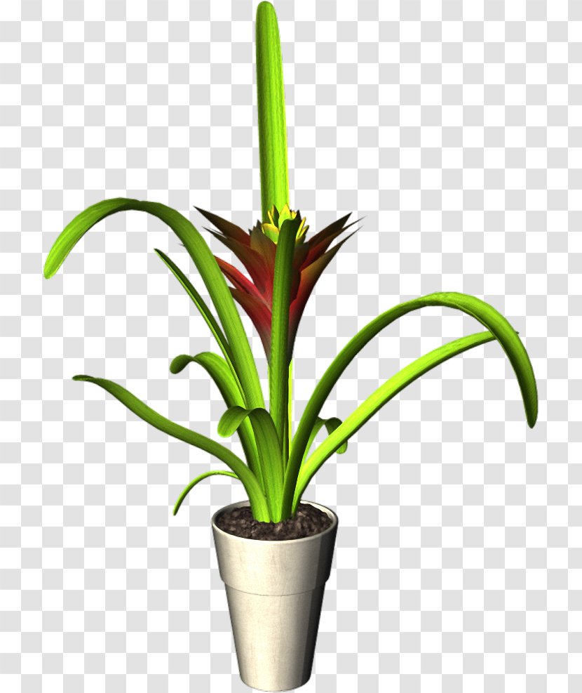 Flowerpot Plant Clip Art - Flower Transparent PNG