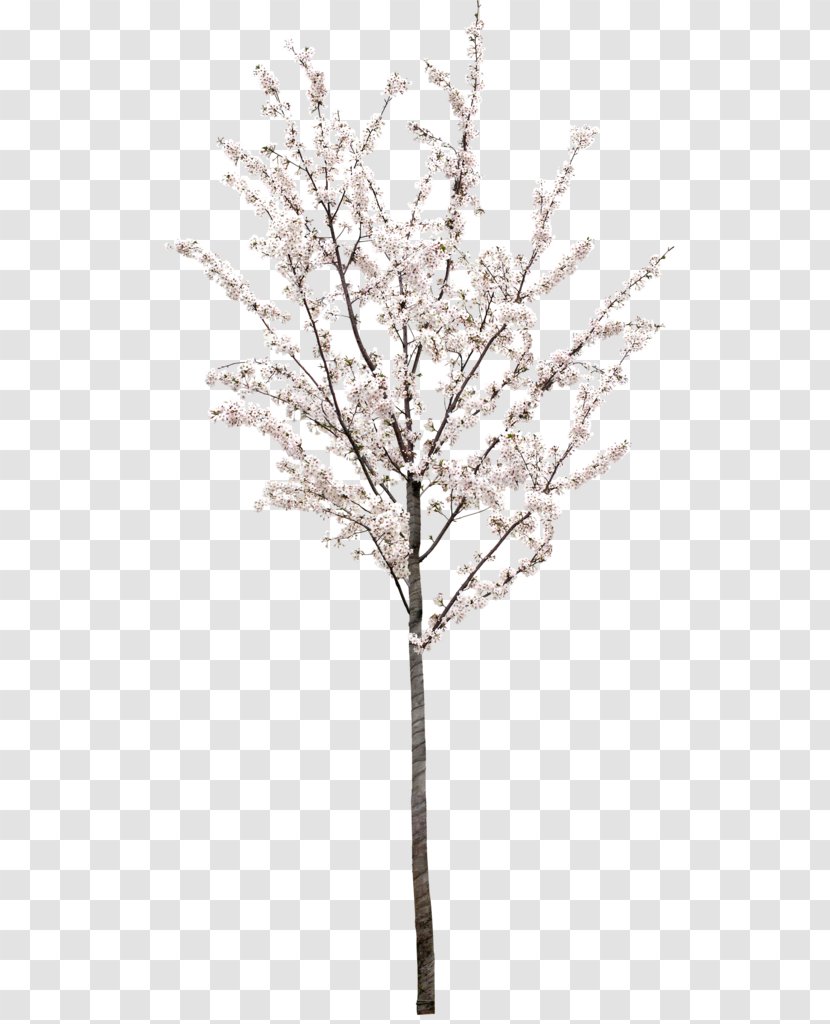 Stock Photography Royalty-free Tree Stock.xchng Illustration - Christmas Day - Peach Transparent PNG