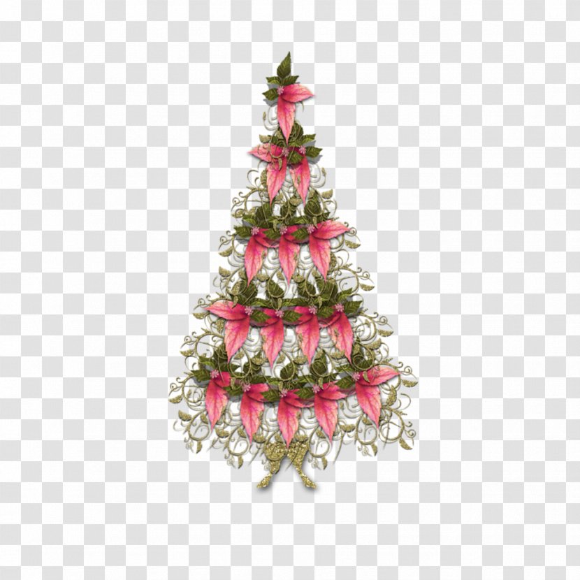 Fir Spruce Christmas Tree Pine - New Year S Day Transparent PNG