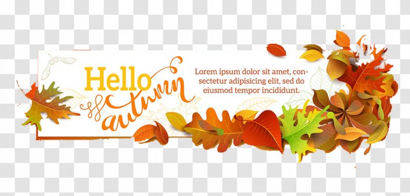 Autumn Leaf European Aspen Illustration - Flower - Hello Transparent PNG