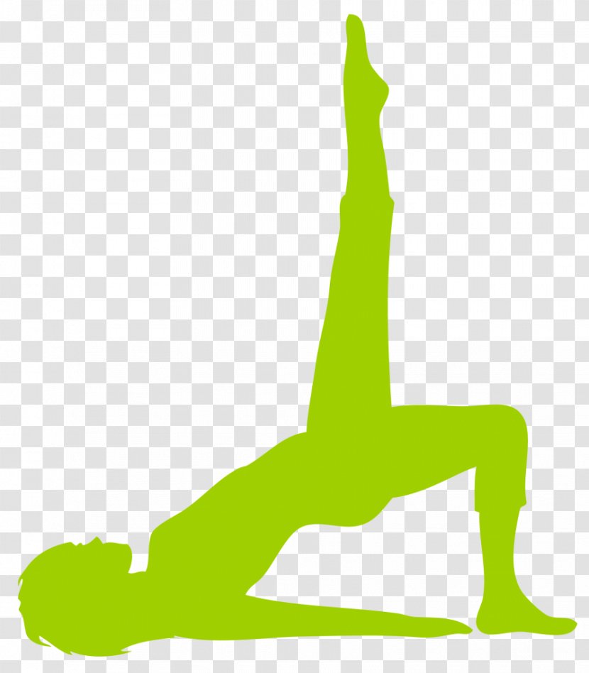 Pilates Studio 1 Yoga And Physical Fitness Exercise - Tree Transparent PNG