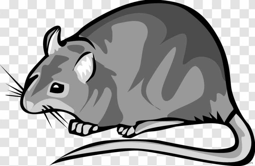 Clip Art Rat Royalty-free Free Content - Fauna Transparent PNG