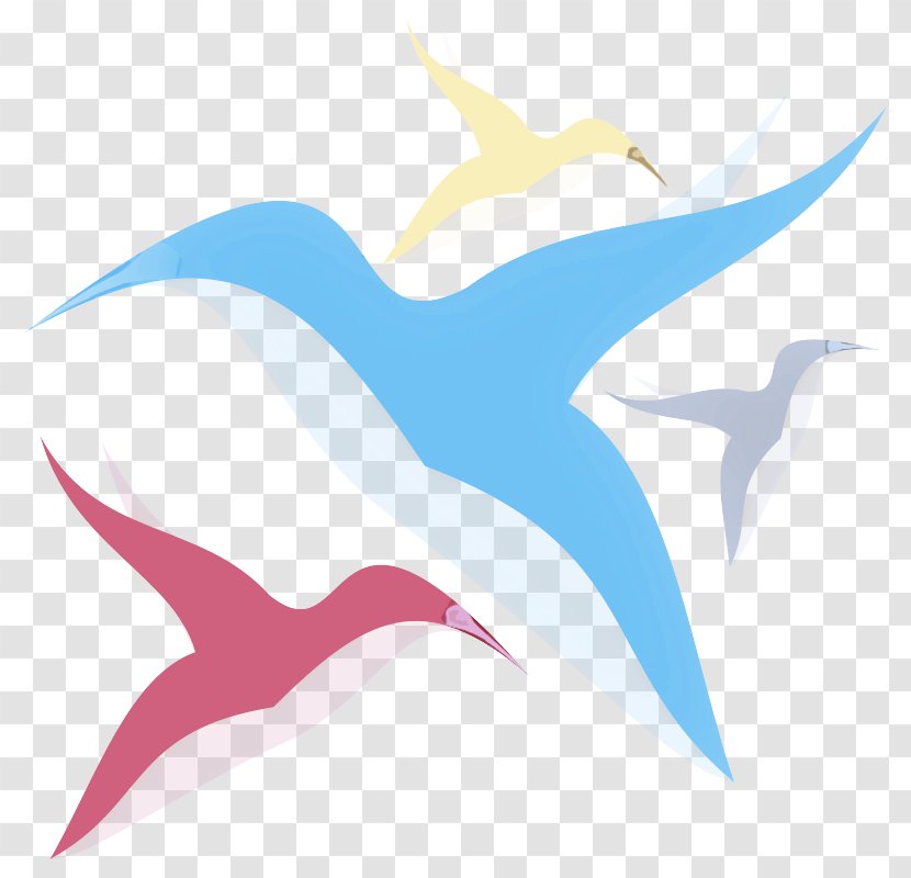 Clip Art Seabird Swallow Wing Transparent PNG