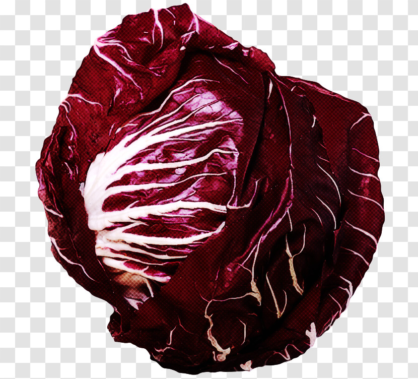 Red Cabbage Cabbage Red Radicchio Leaf Vegetable Transparent PNG