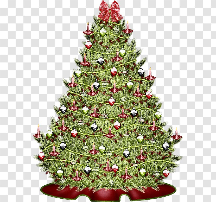 Christmas Decoration - Holiday Ornament - Plant Pine Transparent PNG