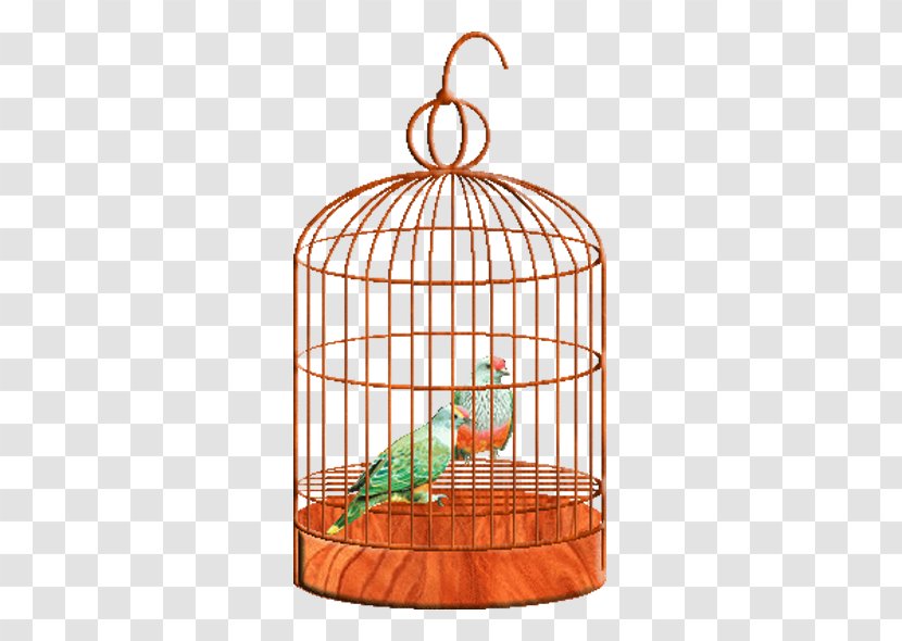 Birdcage Parrot - Ico Transparent PNG