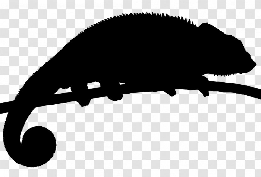 Clip Art Snout Fauna Silhouette - Lizard Transparent PNG