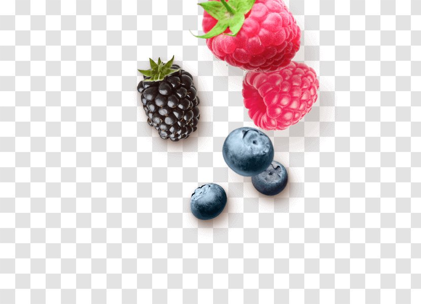 Boysenberry Raspberry Bilberry Blueberry Strawberry - Berry Transparent PNG