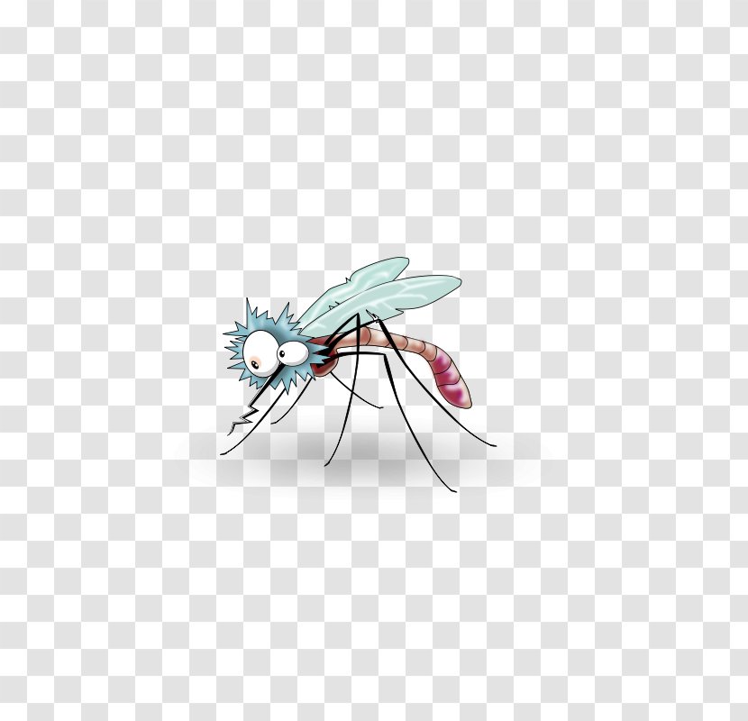 Mosquito Insect Illustration - Interesting Mosquitoes Transparent PNG