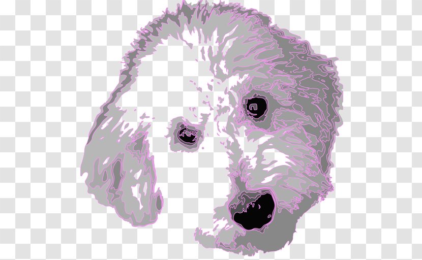 Poodle Goldendoodle Dog Breed Puppy Grooming - Whiskers Transparent PNG