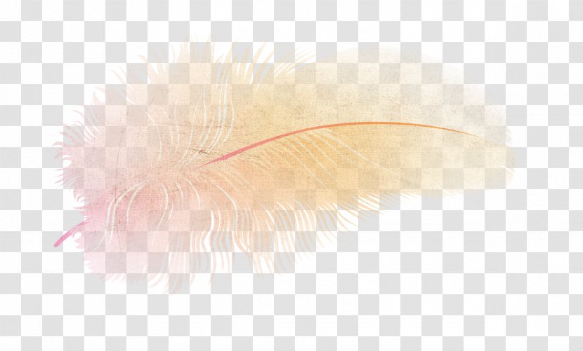 Feather Computer Wallpaper - Bird Feathers Transparent PNG