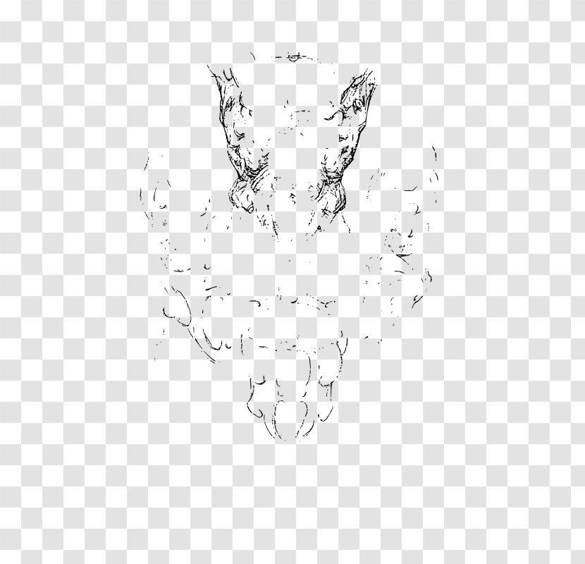 Drawing Visual Arts - Point - Anatomy Vector Transparent PNG