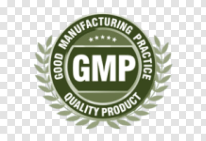 Good Manufacturing Practice Quality Certification - Process - Gmp Transparent PNG