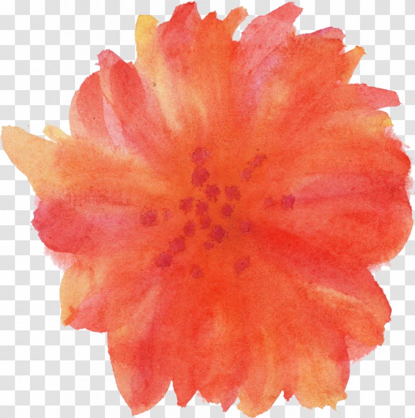 Transparent Watercolor Flower Painting - Color Transparent PNG
