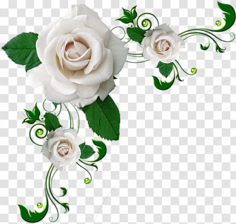 Borders And Frames Picture Clip Art Still Life: Pink Roses - White - Rose Transparent PNG
