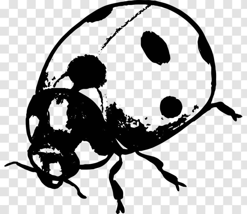 Ladybird Beetle Black And White Silhouette Clip Art - Nature Transparent PNG