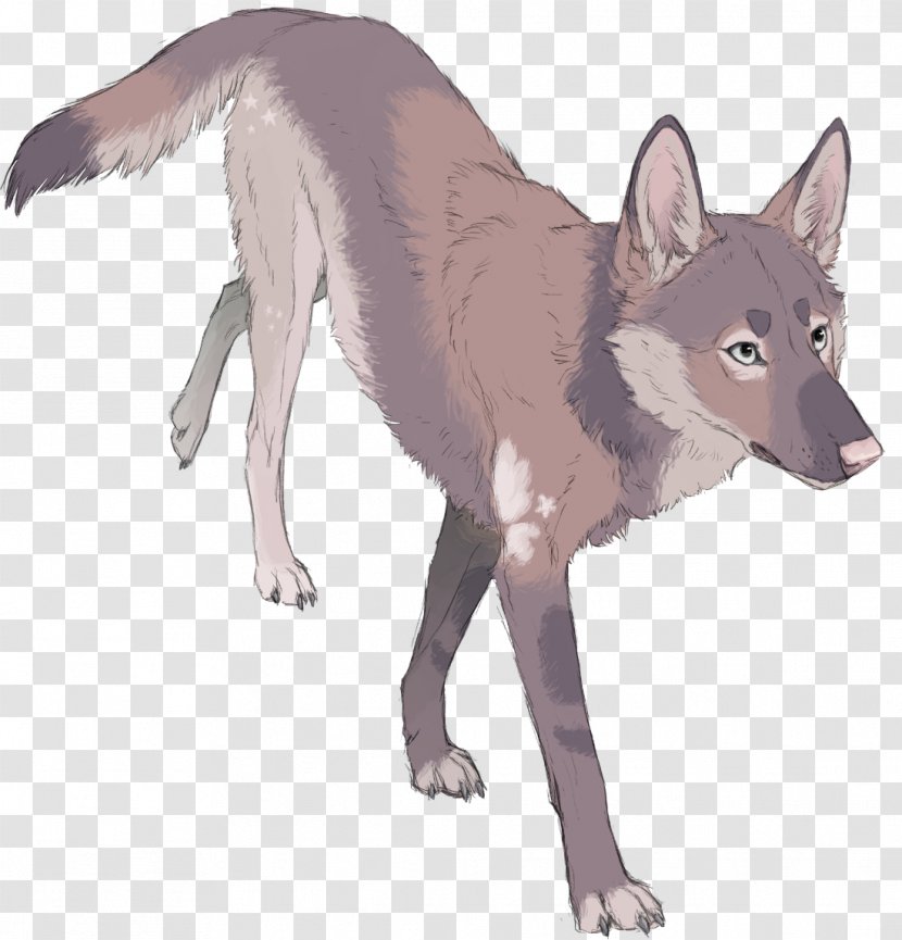 Red Fox Gray Wolf Saarloos Wolfdog DeviantArt - Artist Transparent PNG