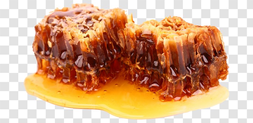 Honey Bee - Dish Transparent PNG