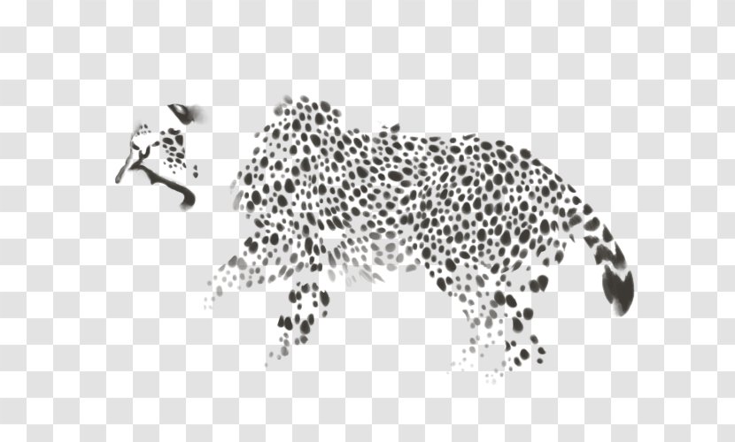 Felidae Leopard Jaguar Cheetah Siamese Cat - Carnivoran Transparent PNG