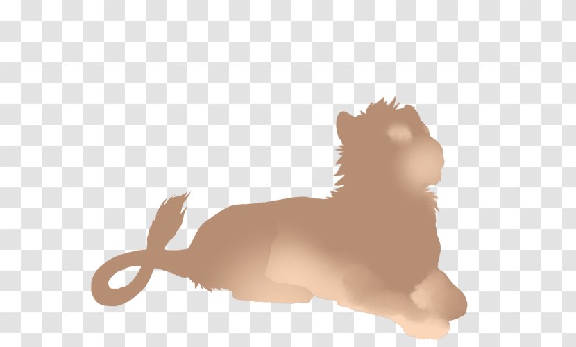 Lion Whiskers Cat Dog Leopard - Small To Medium Sized Cats Transparent PNG