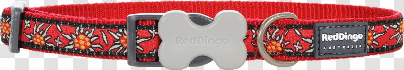 Dog Collar Dingo - Audio - Red Transparent PNG