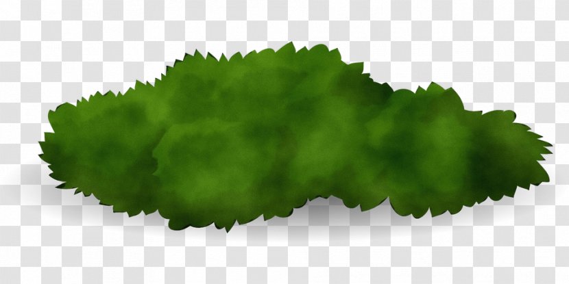 Green Leaf Watercolor - Wet Ink - Herb Grass Transparent PNG