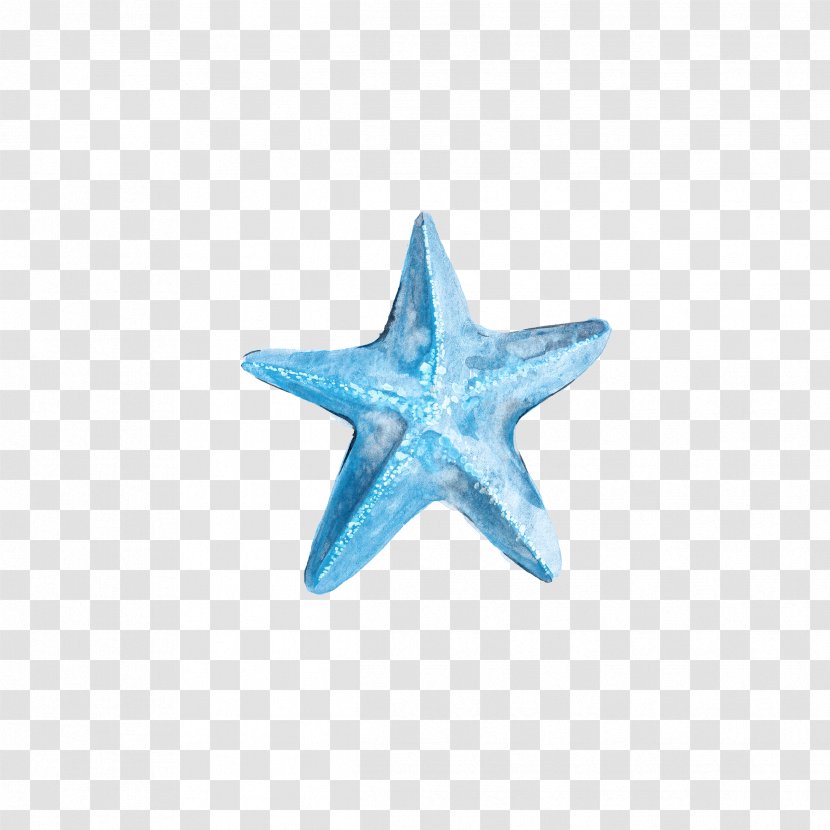 Starfish Blue Euclidean Vector - Aqua Transparent PNG