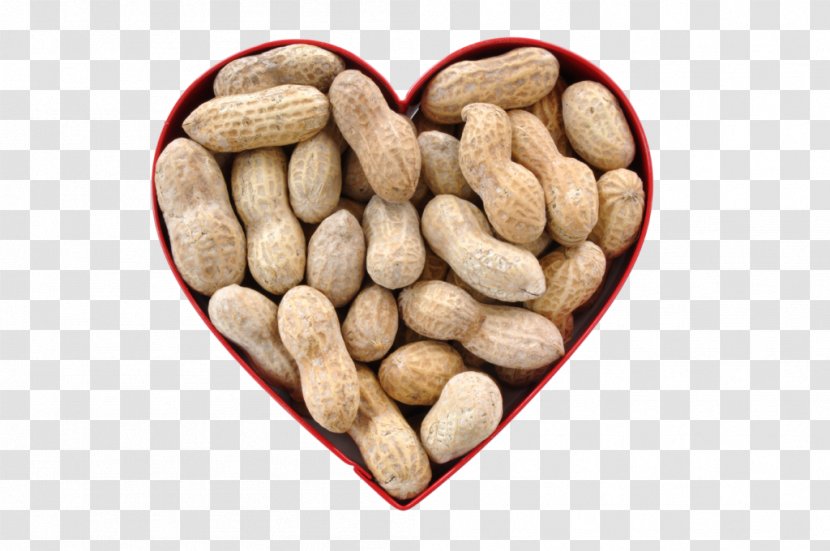 Peanut Butter Cookie National Board Health - Fruit Transparent PNG