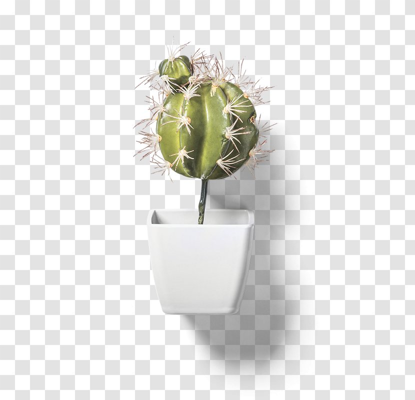 Cactaceae Flowerpot Clip Art - Cactus Vase Transparent PNG