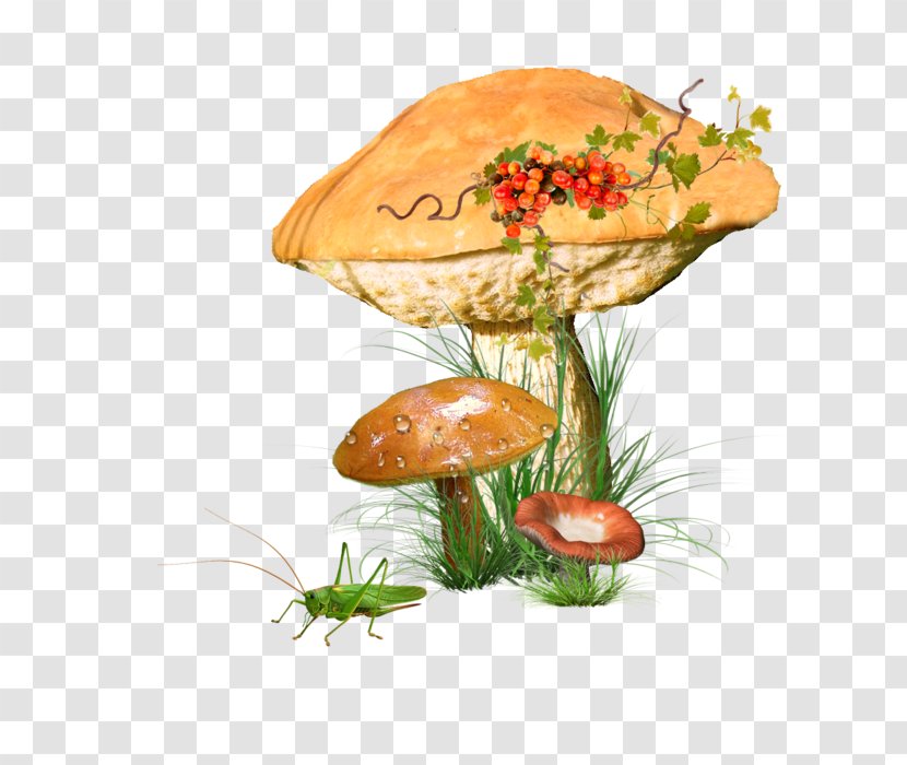 Edible Mushroom Fungus Clip Art - Champignon Transparent PNG