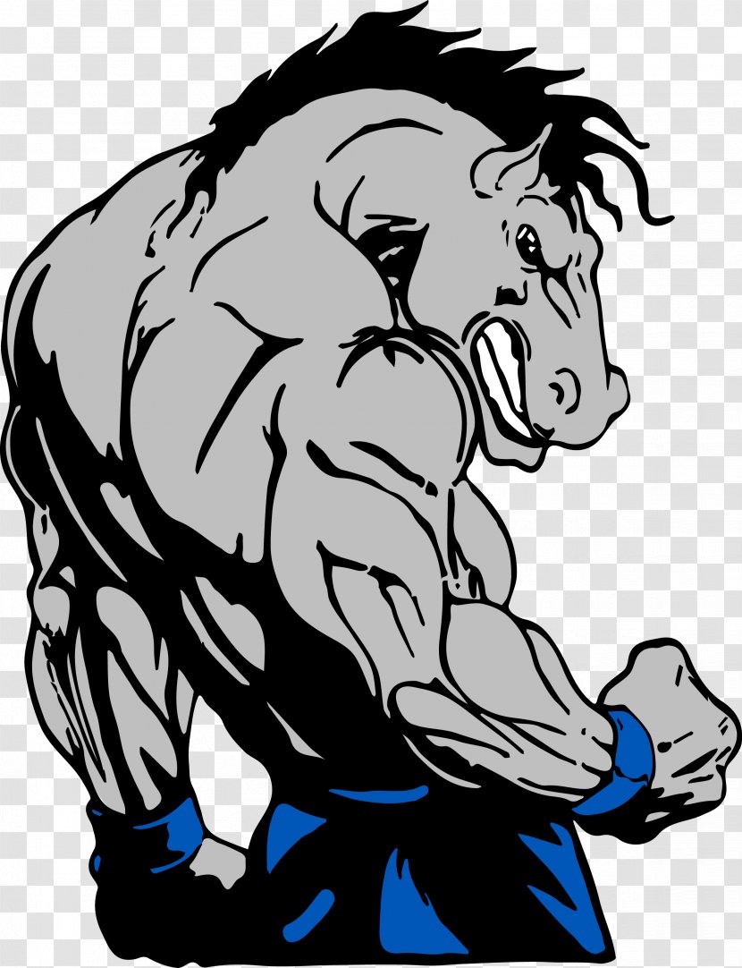 Horse Ky Open Bodybuilding Weight Training Physical Exercise - Fitness Transparent PNG