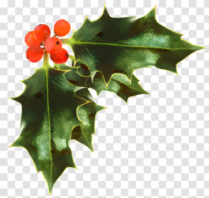 Christmas Day Common Holly Image Transparency - Tree - Decoration Transparent PNG