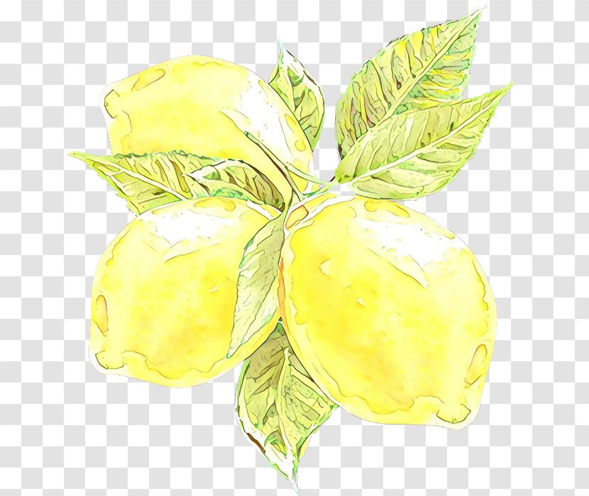 Yellow Leaf Plant Flower Flowering - Herbaceous Fruit Transparent PNG