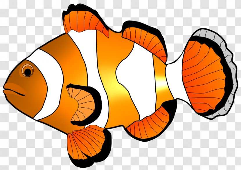 Fish Clip Art - Illustration - Clownfish Cliparts Transparent PNG