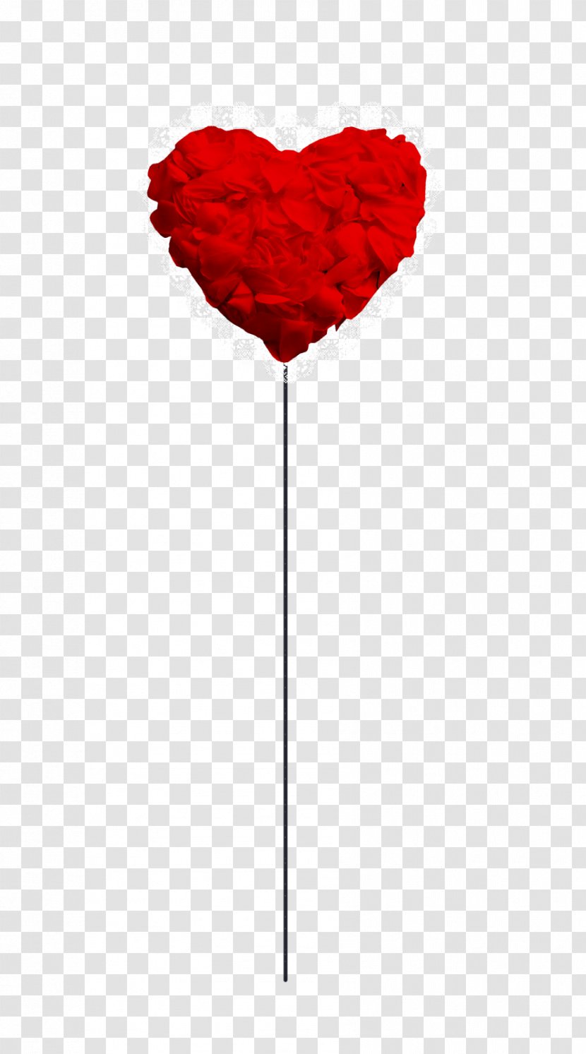 Cut Flowers Petal Flowering Plant - Valentine's Day Transparent PNG