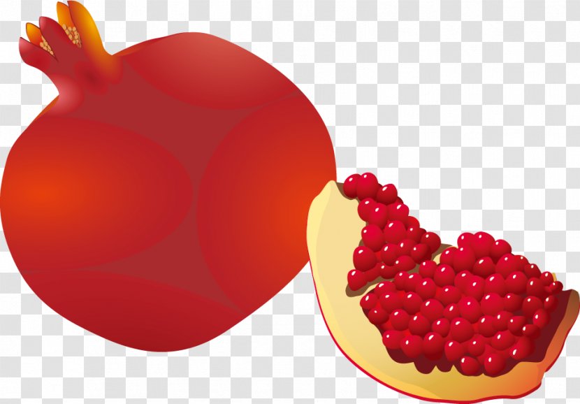Cranberry Pomegranate Juice Fruit - Natural Foods - Fall Season Transparent PNG