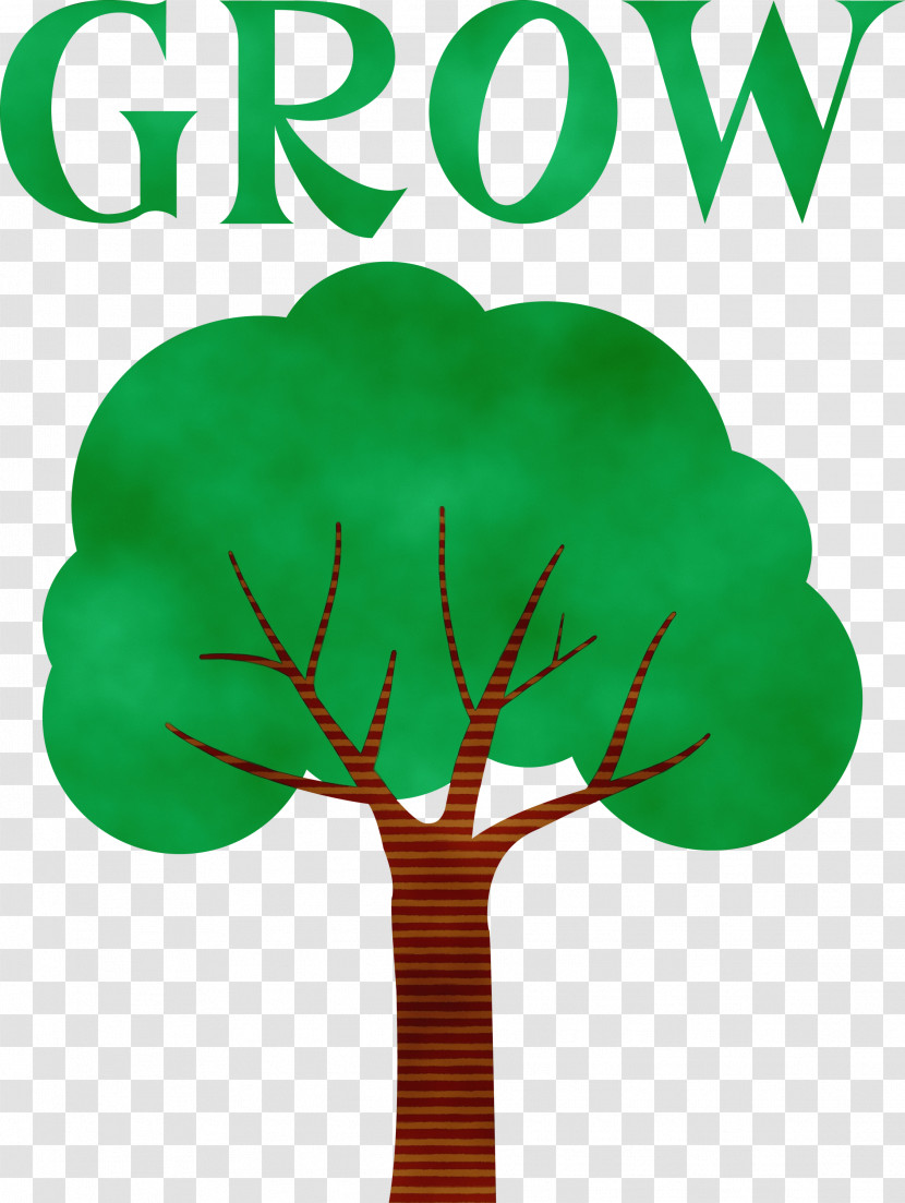 Leaf Plant Stem Tree Green Font Transparent PNG