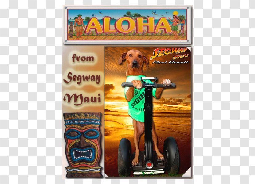 Segway Maui - Leash - The Best In Hawaii Stardust PT Gift SalesGift Transparent PNG