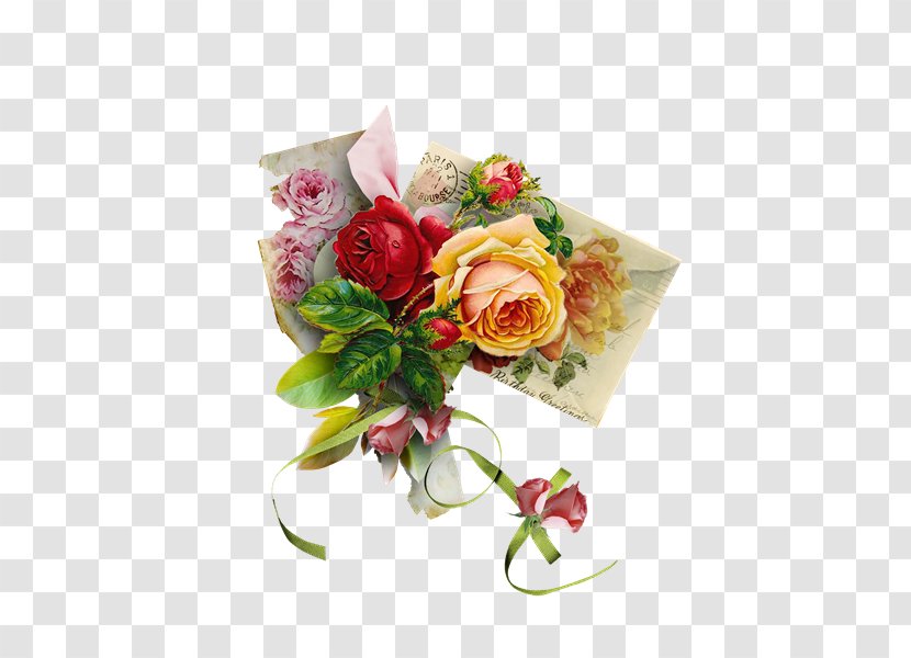 Garden Roses Photography Association Love - Rose Order - Plant Transparent PNG