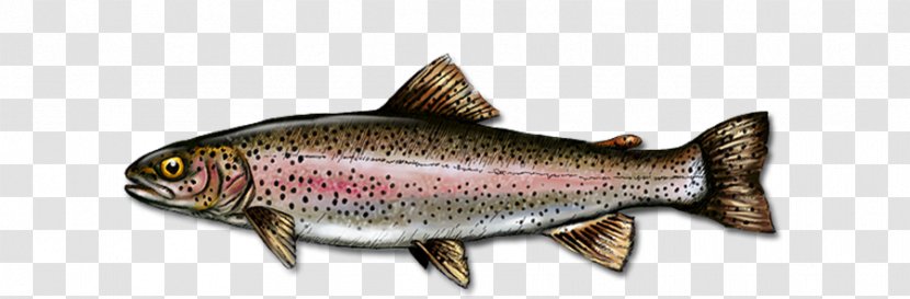 Salmon House Art River Wall - Oily Fish Transparent PNG