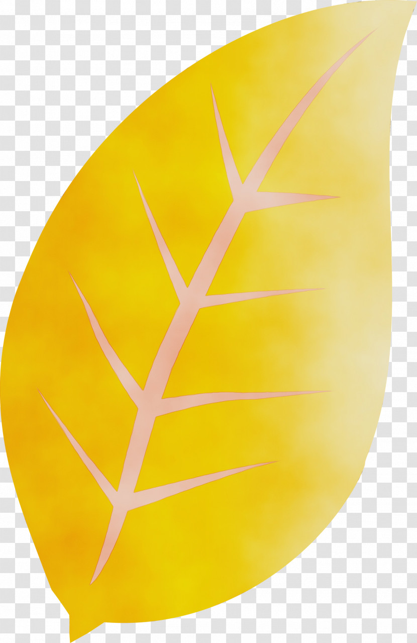 Leaf Commodity Yellow Plants Biology Transparent PNG
